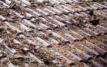 Higher Cheriton roof cleaning companies